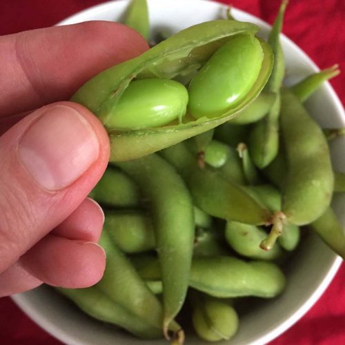 EDAMAME WHOLE WITH PODS 500G 毛豆