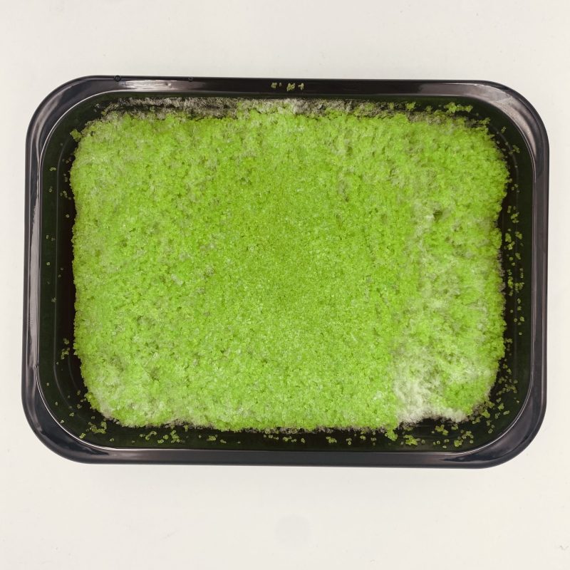 MASAGO GREEN WASABI -MASAGO 魚子 500G