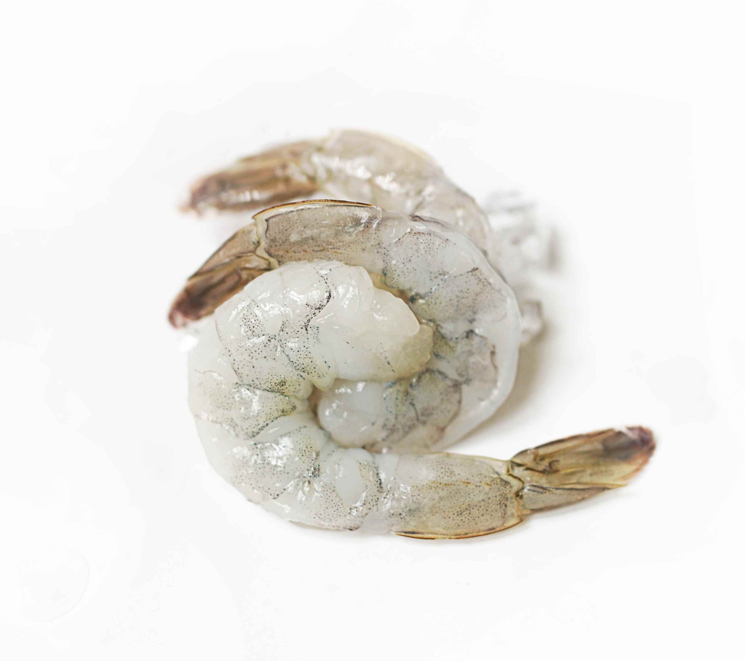 IQF COOKED TAIL ON 31/40 750G NET 熟帶尾蝦