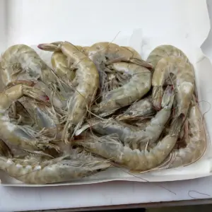 VANNAMEI HEAD ON Think GG Cash & Carry