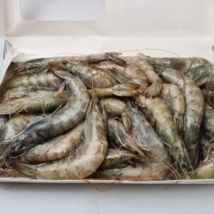 VANNAMEI HEAD ON Think GG Cash & Carry