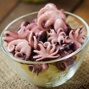 BABY OCTOPUS ARNO 20/40 魷魚仔