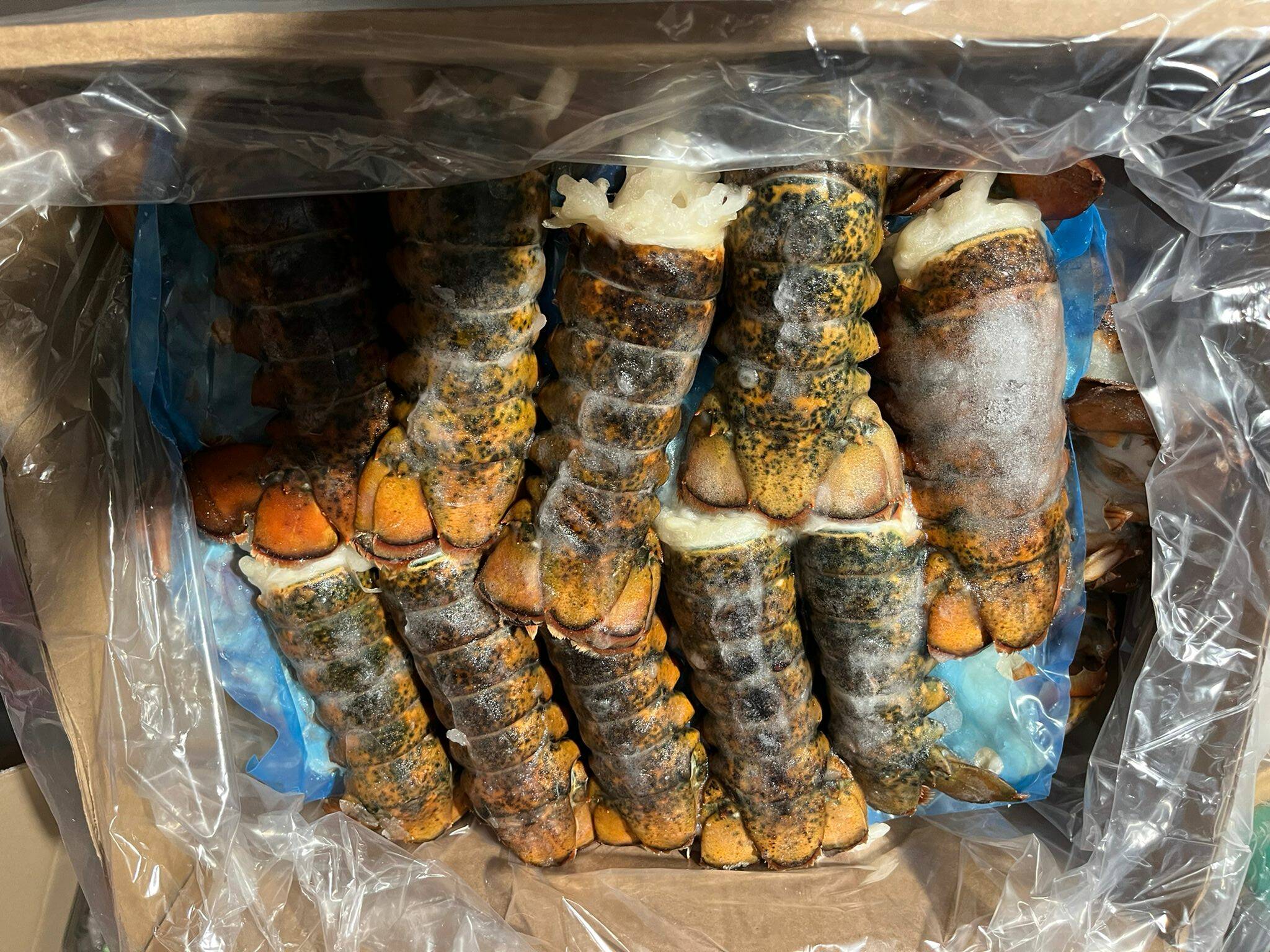 Lobster Tails 4-5OZ 4.54KG 龙虾尾
