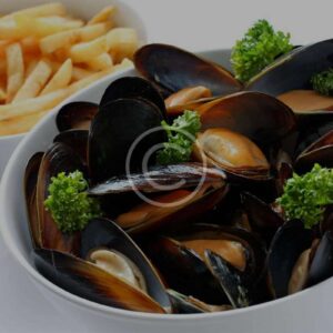 NZ HALF SHELL MUSSEL MEDIUM 半壳青口贝