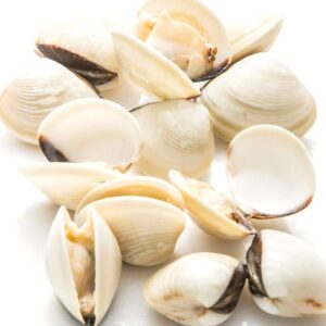 WHOLE WHITE CLAM IN SHELL 60-80 帶殼蛤蜊