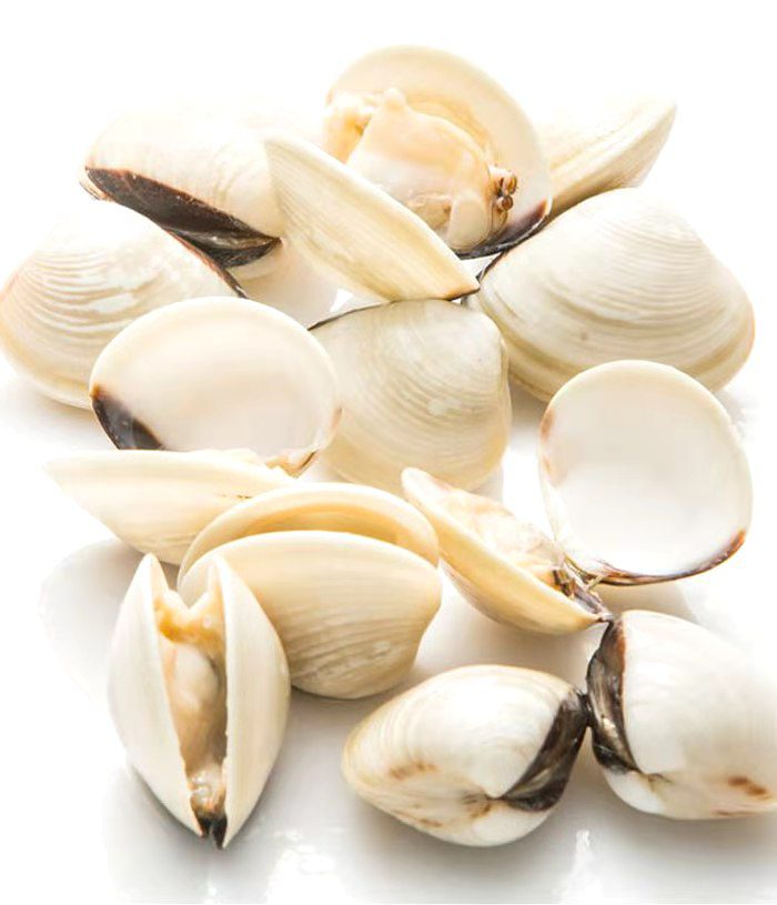 WHOLE WHITE CLAM IN SHELL 60-80 帶殼蛤蜊