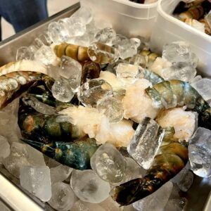 BLOCK HEADLESS KING PRAWN Think GG Cash & Carry