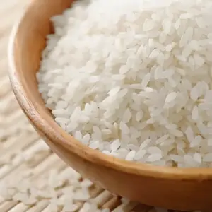 SUSHI RICE PREMIUM GOLD 10KG-KINTARO 金太郎壽司米